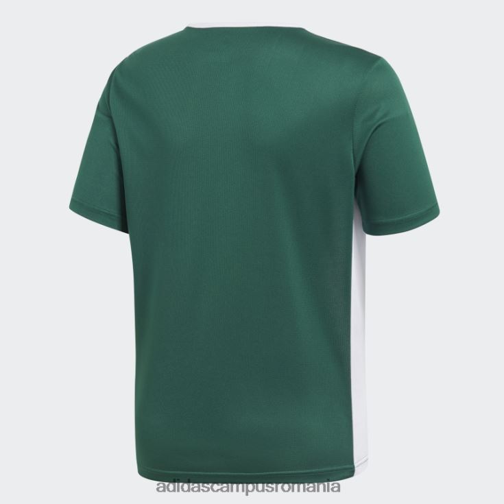 adidas campus romania tricou verde de intrare copii verde/alb J266N211746