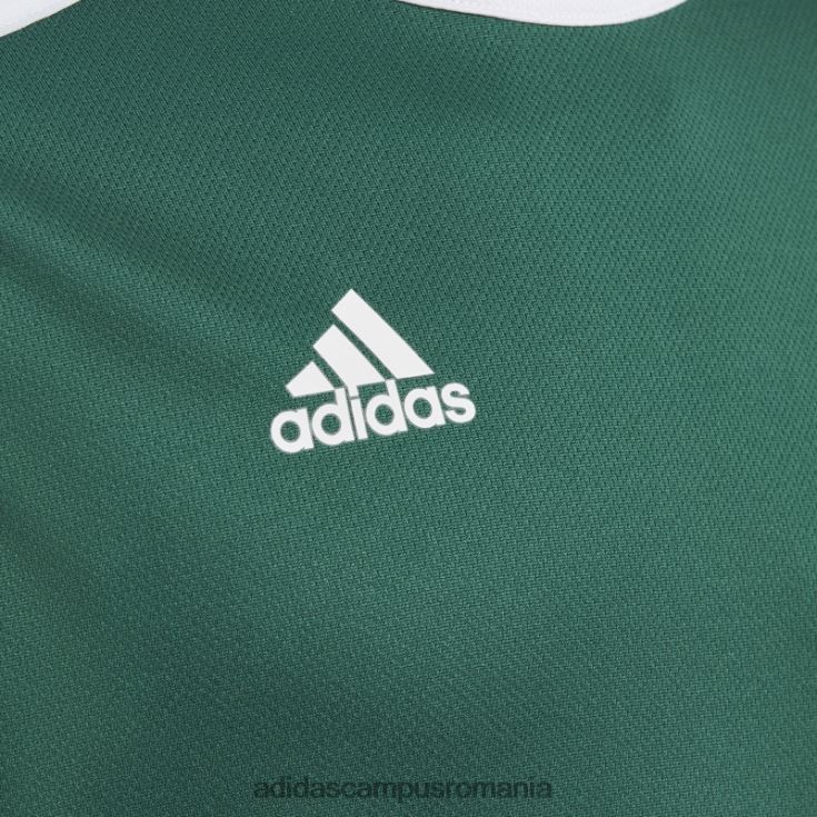 adidas campus romania tricou verde de intrare copii verde/alb J266N211746