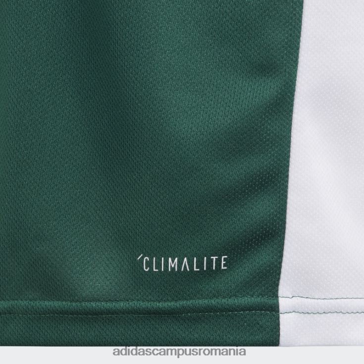 adidas campus romania tricou verde de intrare copii verde/alb J266N211746