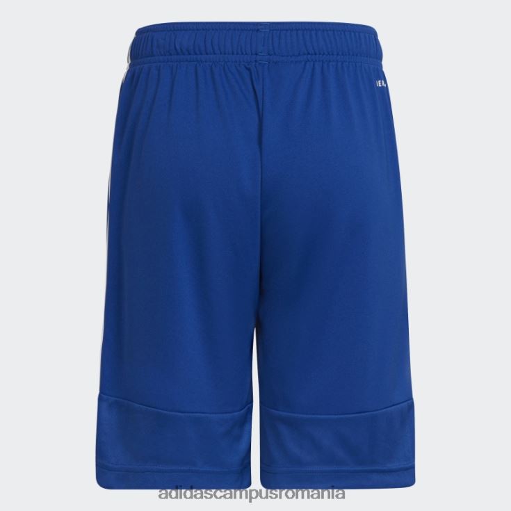 adidas campus romania pantaloni scurți sereno albastru regal copii albastru regal/alb J266N211866