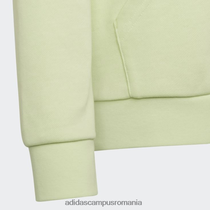 adidas campus romania hanorac grafic stoked plajă lime adidas copii lămâie verde J266N218984