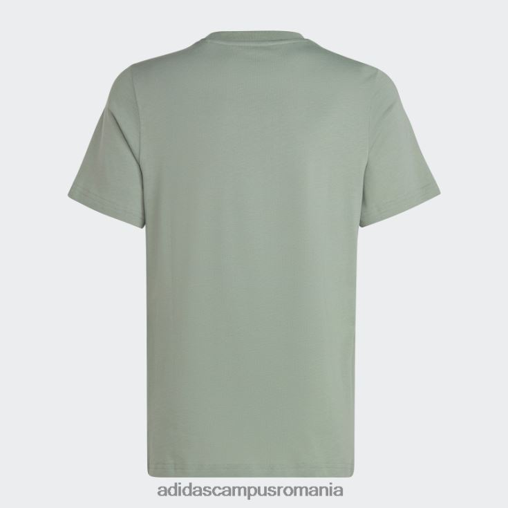 adidas campus romania tricou adicolor verde argintiu adidas copii verde argintiu J266N211946