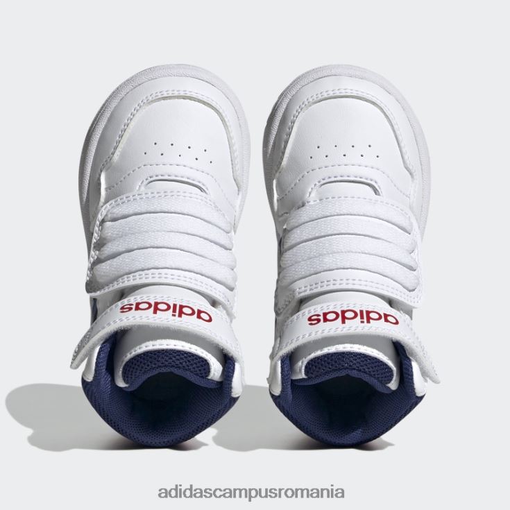 adidas campus romania modă cercuri stacojii pantofi mijlocii copii alb/albastru victorie/stacojiu J266N211275