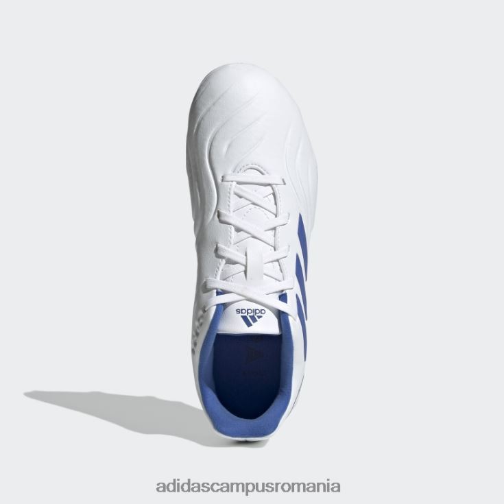 adidas campus romania copa sense.3 crape teren ferm alb adidas copii alb/albastru de mare rezoluție/indigo J266N211520