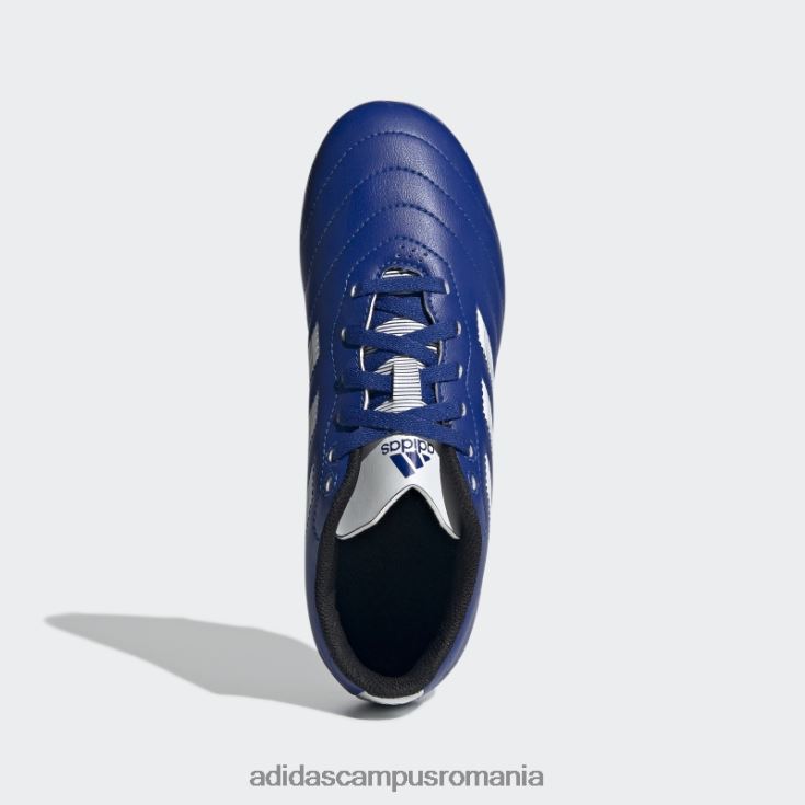 adidas campus romania goletto viii crampoane pentru teren ferm albastru regal copii albastru regal/alb/negru J266N211377
