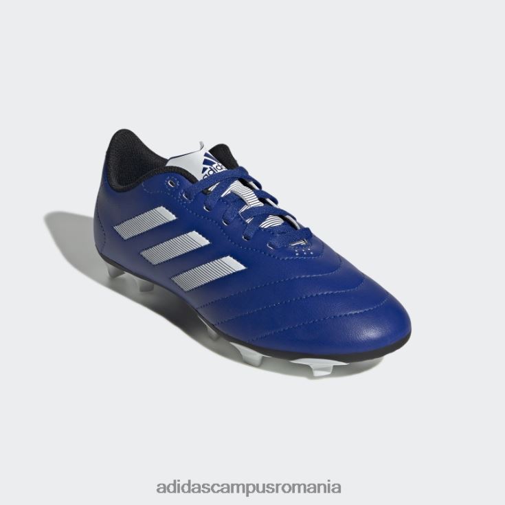 adidas campus romania goletto viii crampoane pentru teren ferm albastru regal copii albastru regal/alb/negru J266N211377