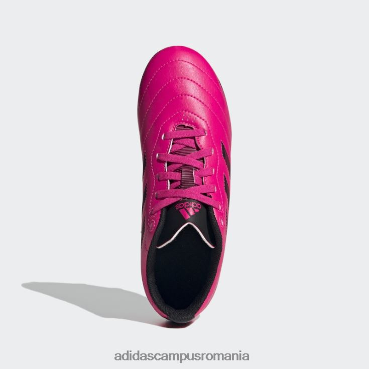 adidas campus romania goletto viii crampoane pentru teren ferm roz copii roz/negru J266N211329