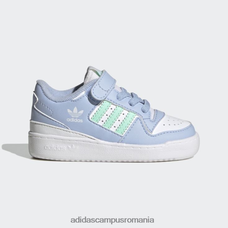 zori alb/verde/albastru