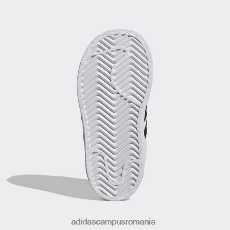 adidas campus romania pantofi superstar de modă roz copii alb/negru/roz J266N224707