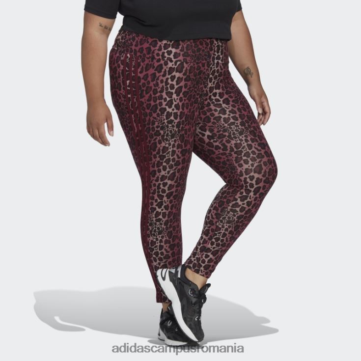 adidas campus romania jambiere maro 7/8 (plus mărime) femei maro/multicolor J266N223249