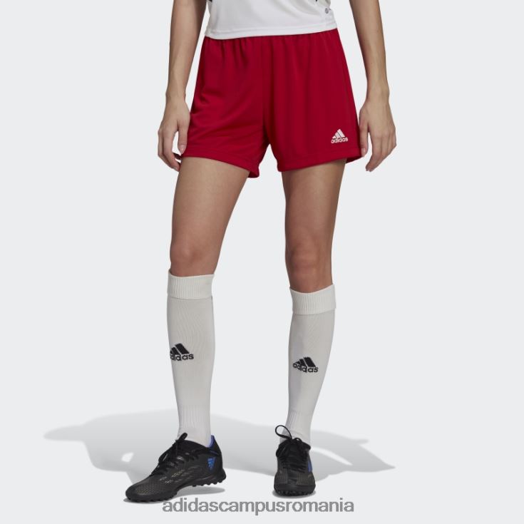 adidas campus romania entrada 22 pantaloni scurți roșii femei roșu J266N223672
