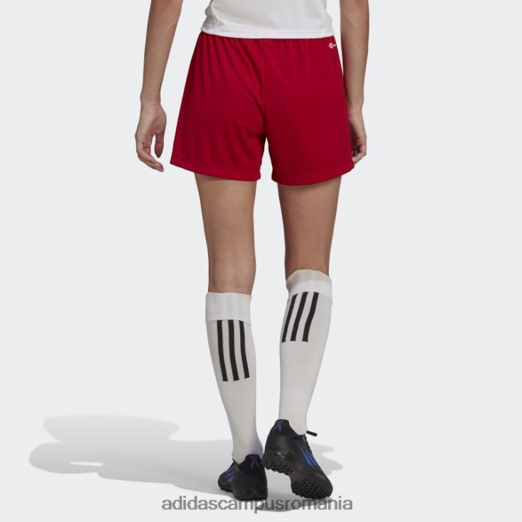 adidas campus romania entrada 22 pantaloni scurți roșii femei roșu J266N223672
