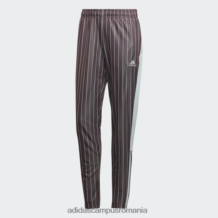 adidas campus romania pantaloni de sport tiro maro adidas femei maro J266N223814