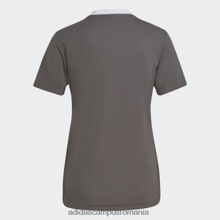 adidas campus romania entrada 22 tricou gri femei gri J266N216945