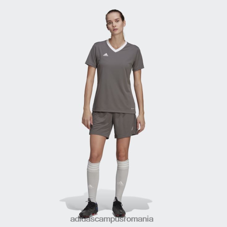 adidas campus romania entrada 22 tricou gri femei gri J266N216945