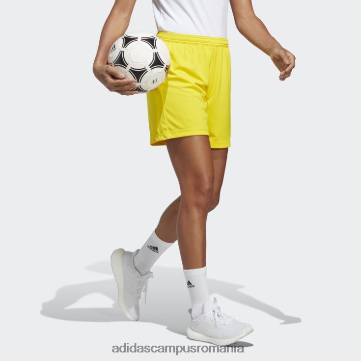 adidas campus romania galben intrare 22 pantaloni scurți femei galben J266N217134