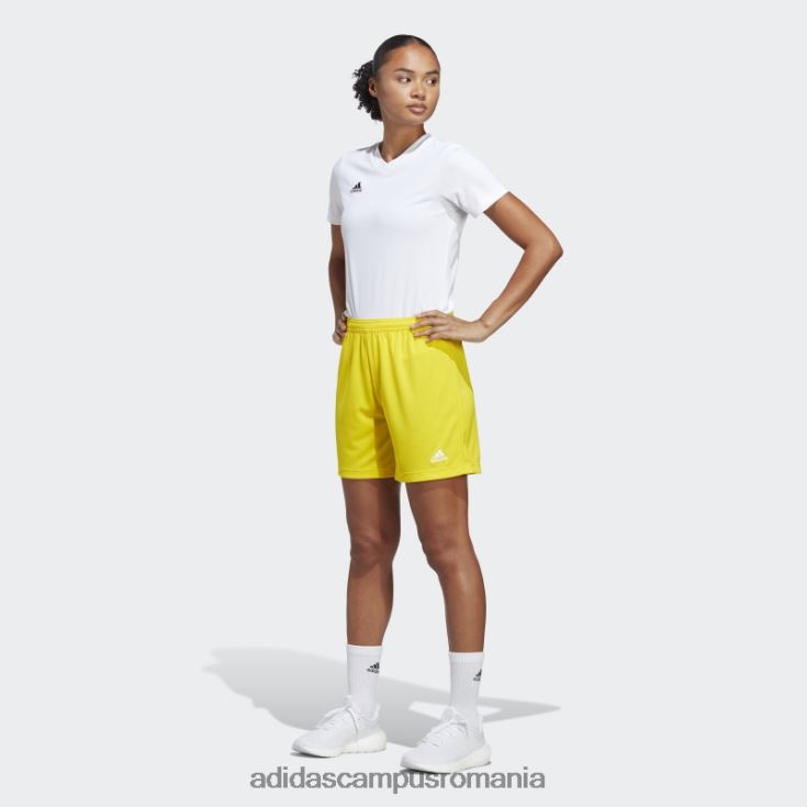 adidas campus romania galben intrare 22 pantaloni scurți femei galben J266N217134