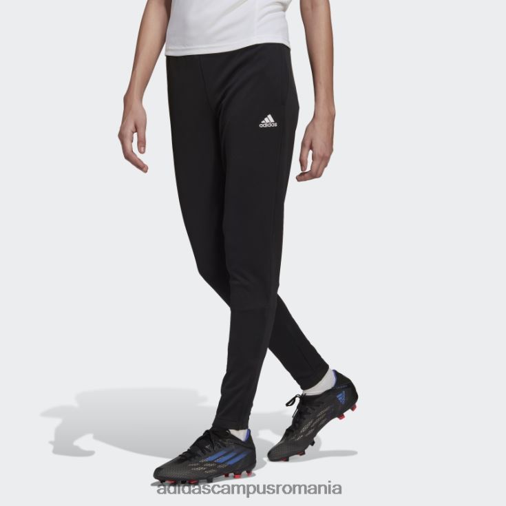 adidas campus romania pantaloni de trening antrenament entrada 22 negru adidas femei negru J266N216608