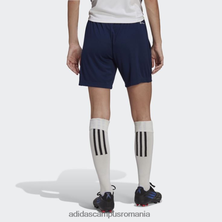 adidas campus romania pantaloni scurți de antrenament albastru bleumarin entrada 22 adidas femei albastru marin J266N217403