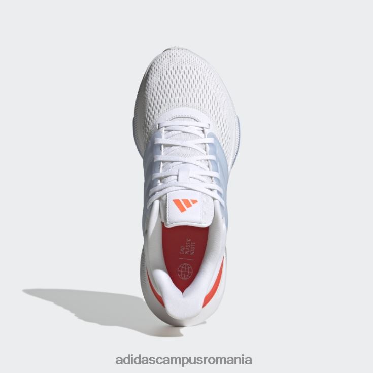 adidas campus romania pantofi ultrabounce albastru zori elegant femei zori alb/albastru J266N28355