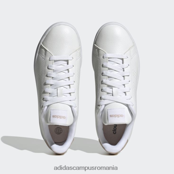 adidas campus romania avantaj pantofi taupe femei alb/taupe J266N28457