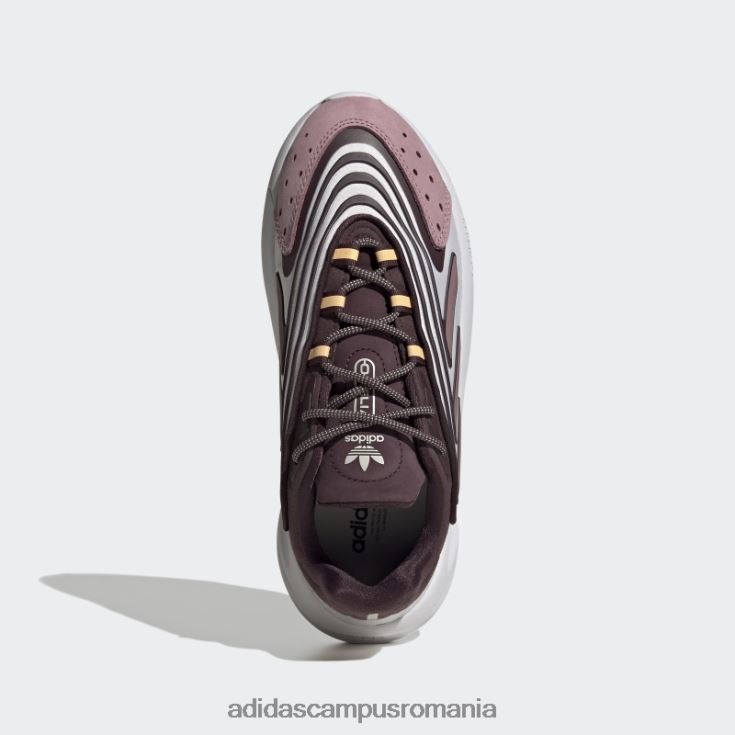 adidas campus romania pantofi ozelia maro adidas femei maro/mov/gri liniuță J266N28742