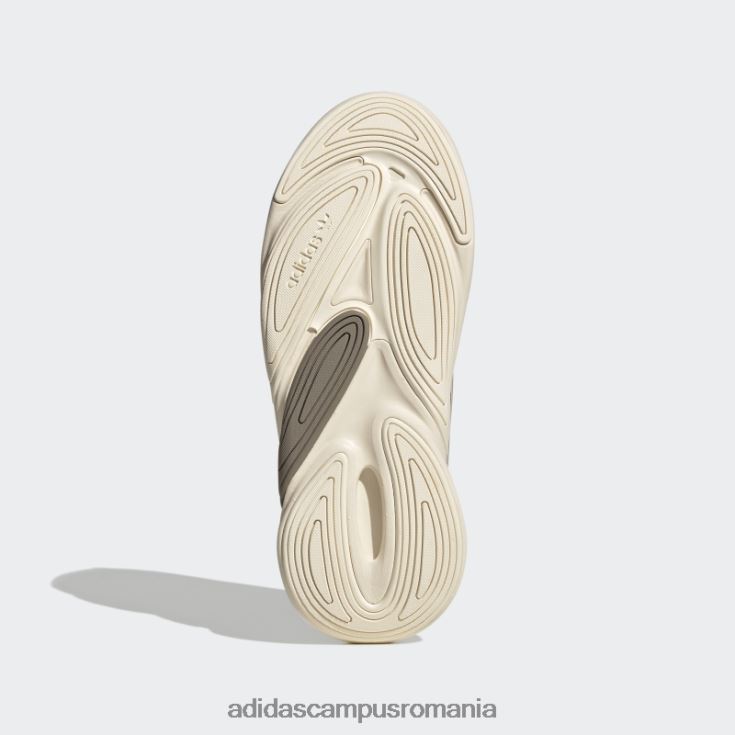 adidas campus romania pantofi ozelia maro simpli adidas femei maro simplu/beatitudine/alb J266N28715