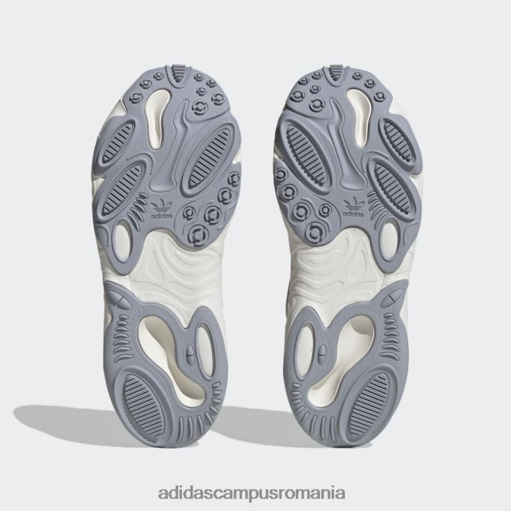 adidas campus romania pantofi oznova gri femei gri/alb/aluminiu J266N28366