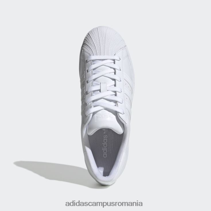 adidas campus romania pantofi superstar alb fierbinte femei alb J266N28288