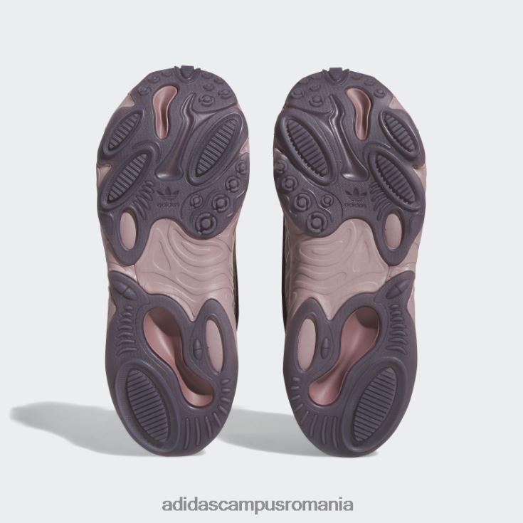 adidas campus romania pantofi violet oznova femei violet/mov/maro J266N28794