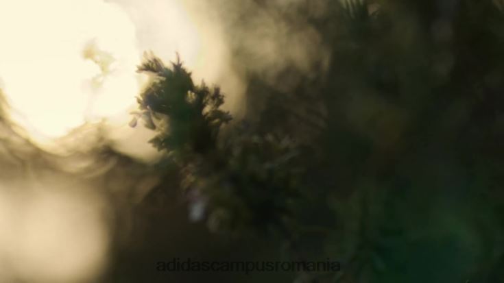 adidas campus romania pantofi alergare adistar cs gri femei gri/galben/roz fascicul J266N222214