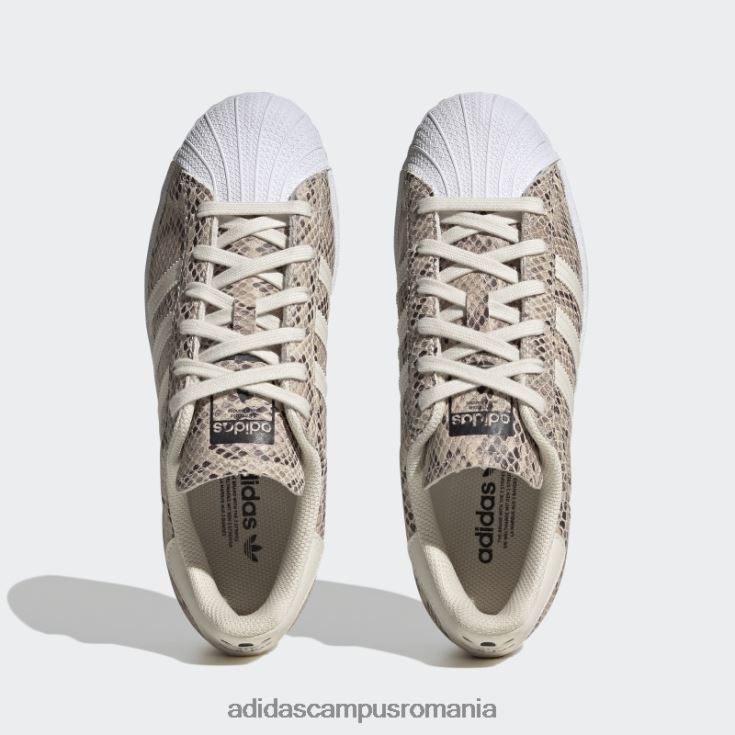 adidas campus romania pantofi superstar femei negru elegant femei alb negru J266N222095