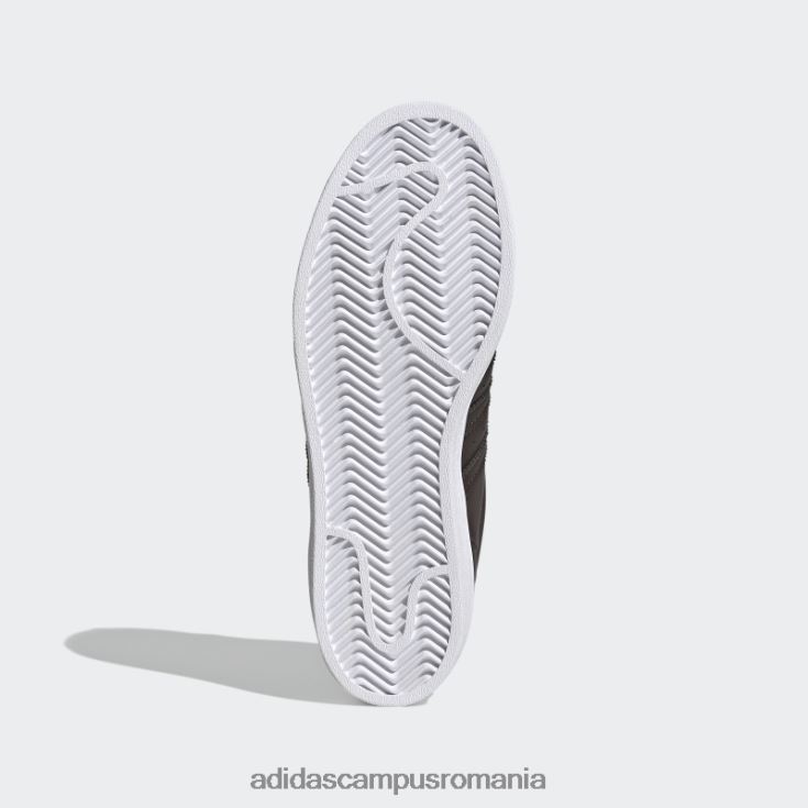 adidas campus romania pantofi superstar maro noapte femei maro noapte/alb J266N222159