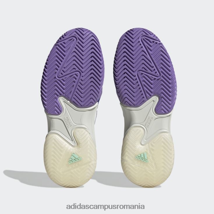 adidas campus romania pantofi de tenis baricade albastru femei albastru/violet/mentă J266N28498