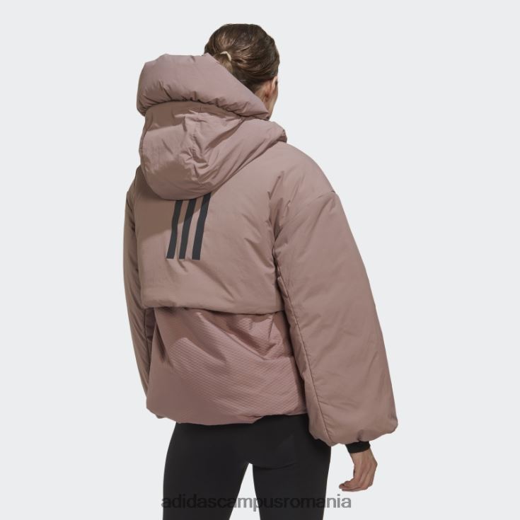 adidas campus romania terrex myshelter cold.rdy jacheta violet femei Violet J266N224086